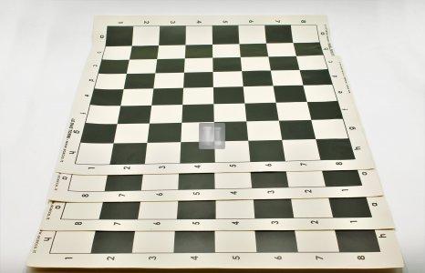 10 Chessboard offer Tournament Roll-Up
