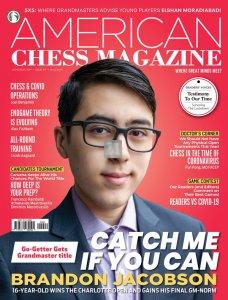American Chess Magazine - 17