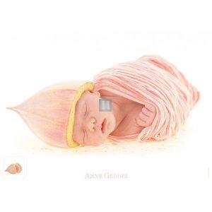 Anne Geddes: Bocciolo di eucalipto - Puzzle 1000