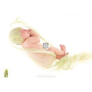 Anne Geddes: Bocciolo di narciso - Puzzle 1000