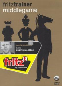 Basic Positional Ideas - DVD