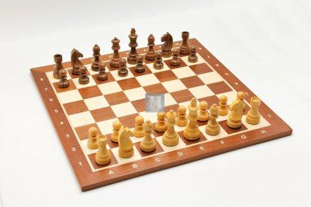Chess Set: Zenit