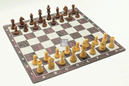 Completo da torneo Veinée Scacchi + Scacchiera + Borsa