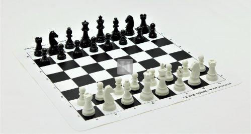 Small Chess set + Chessboard