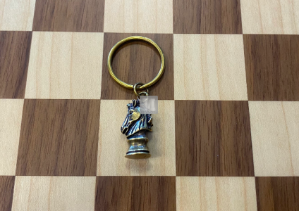 Elegant Metal keyring