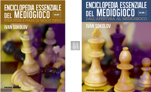 Enciclopedia essenziale del mediogioco, Volume 1: strategie e piani di gioco tipici