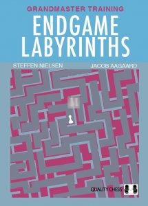 Endgame Labyrinths - Grandmaster Training