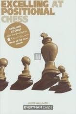 Excelling at Positional Chess: How the Best Players Plan and Manoeuvre