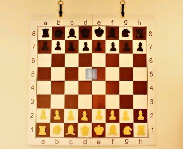 Folding magnetic demonstration chessboard, Double Fold