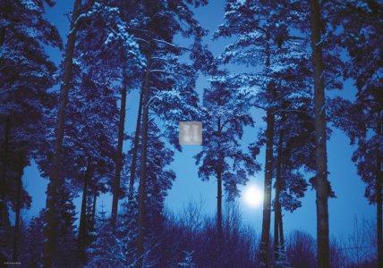 Full Moon B. Eliasson - Puzzle 500