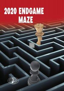 Endgame Maze 2020