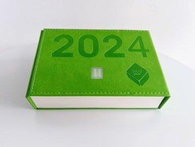 Daily Chess Diary 2024