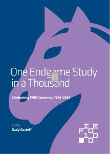 One Endgame Study in a Thousand