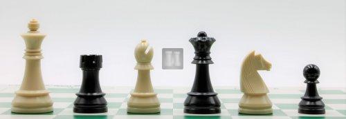 Plastic Chess Set - Tournament Size -  Felted, Staunton Design