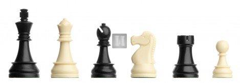 DGT plastic chess pieces King mm.86