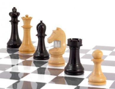 World Chess Championship FIDE Approved Tournament Chess Pieces