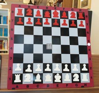 Folding magnetic demonstration chessboard