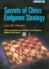 Secrets of chess endgame strategy - 2nd hand