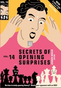 Secrets of Opening Surprises vol.14