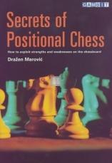 Secrets of positional chess - 2nd hand