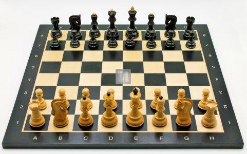Chess Set: Amur