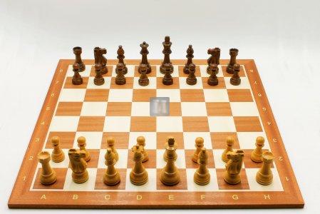 Chess Set: Renoir