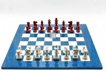 Chess Set: Bologna