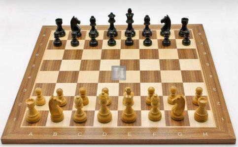 Chess Set: Danubian