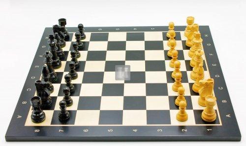 Chess Set: Renoir