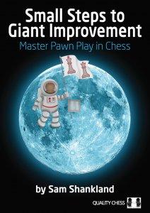 Small Steps to Giant Improvement - hardcover