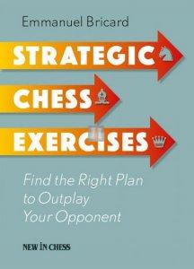 Strategic Chess Exercises: Find the Right Way to Outplay Your Opponent - 2nd hand