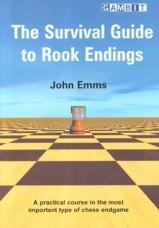 The Survival Guide to Rook Endings - 2nd hand