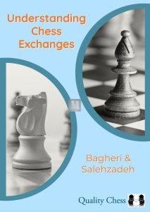 Understanding Chess Exchanges