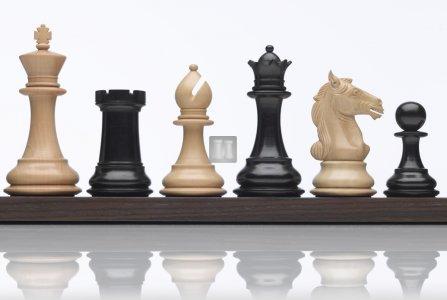 Wood chess set "Aviator" Boxwood/Ebonywood - king mm 101