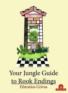 Your Jungle Guide to Rook Endings