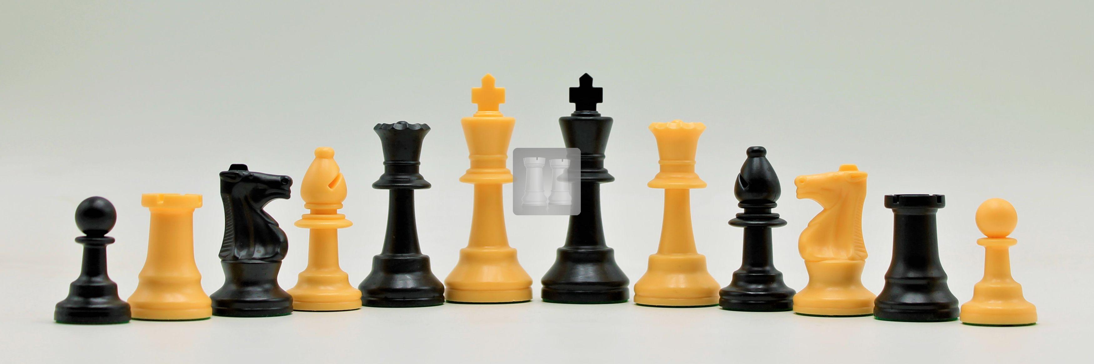 Scheda Di Scacchi Immagine Stock. Immagine Di Parte, Perda - 5315335 - Foto 3